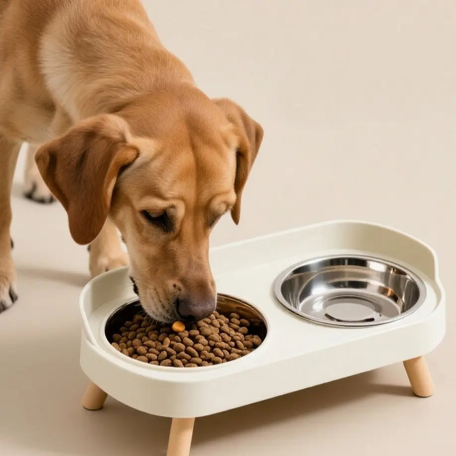 Elevated Dual Pet Bowl Set - Spill Proof, Anti-Slip Stainless Steel Food and Water Bowls for Dogs and Cats with Neck Protection Stand