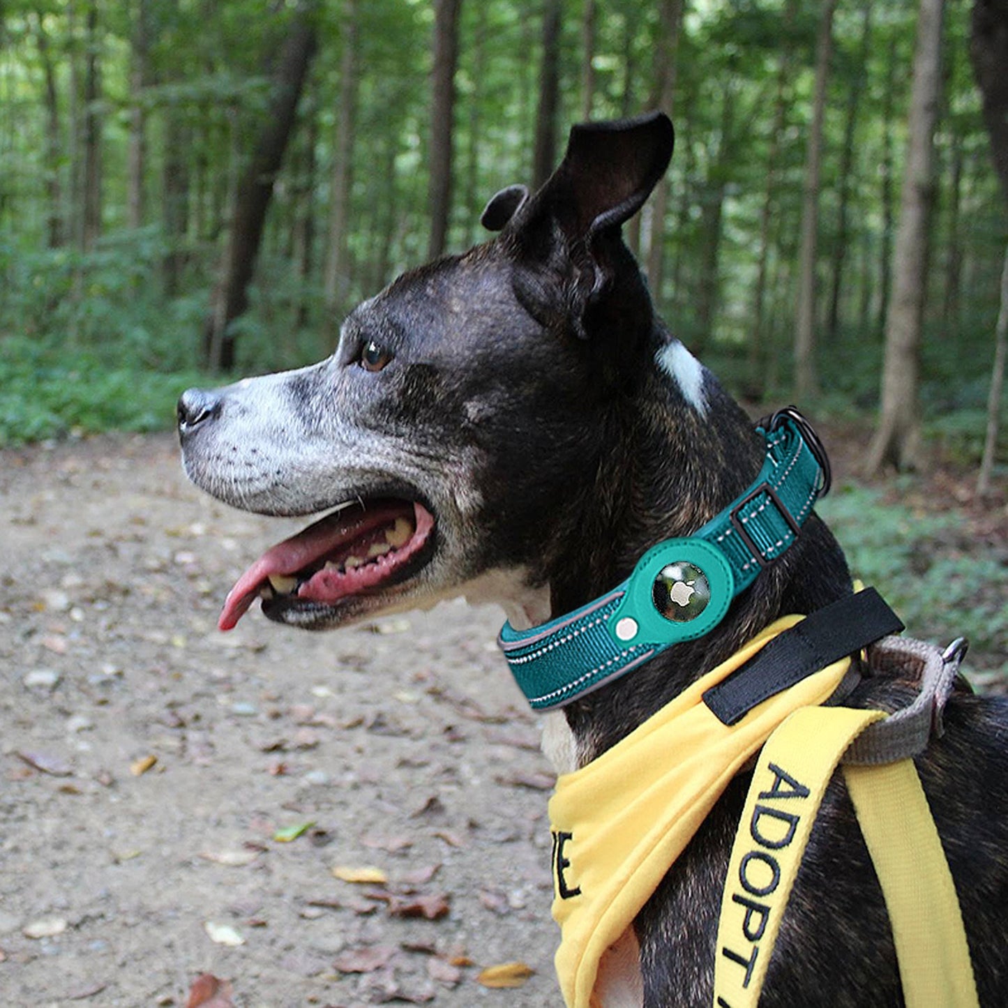 Airtag Nylon Pet Collar - Perfect for Tracking Pets